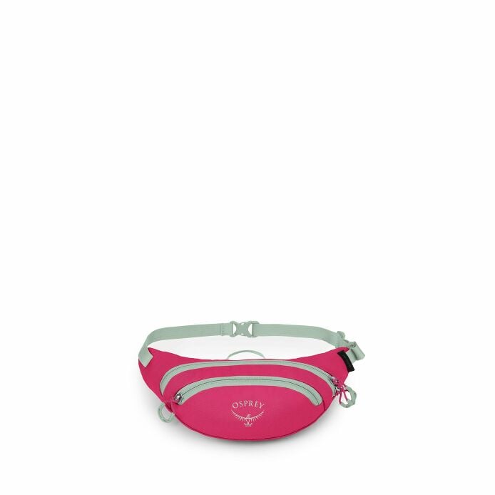 Daylite™ Mini Waist Pack - US 0620
