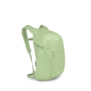 Pistachio Green