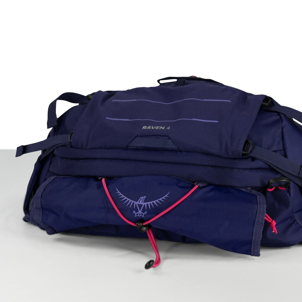 Raven 4 - US 3433