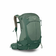 Pine Leaf Green