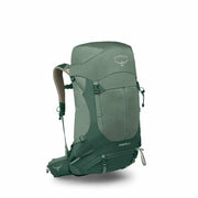 Pine Leaf Green