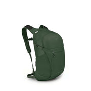 Seaweed Green