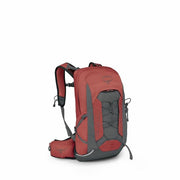 Red Pampas/Coal Grey